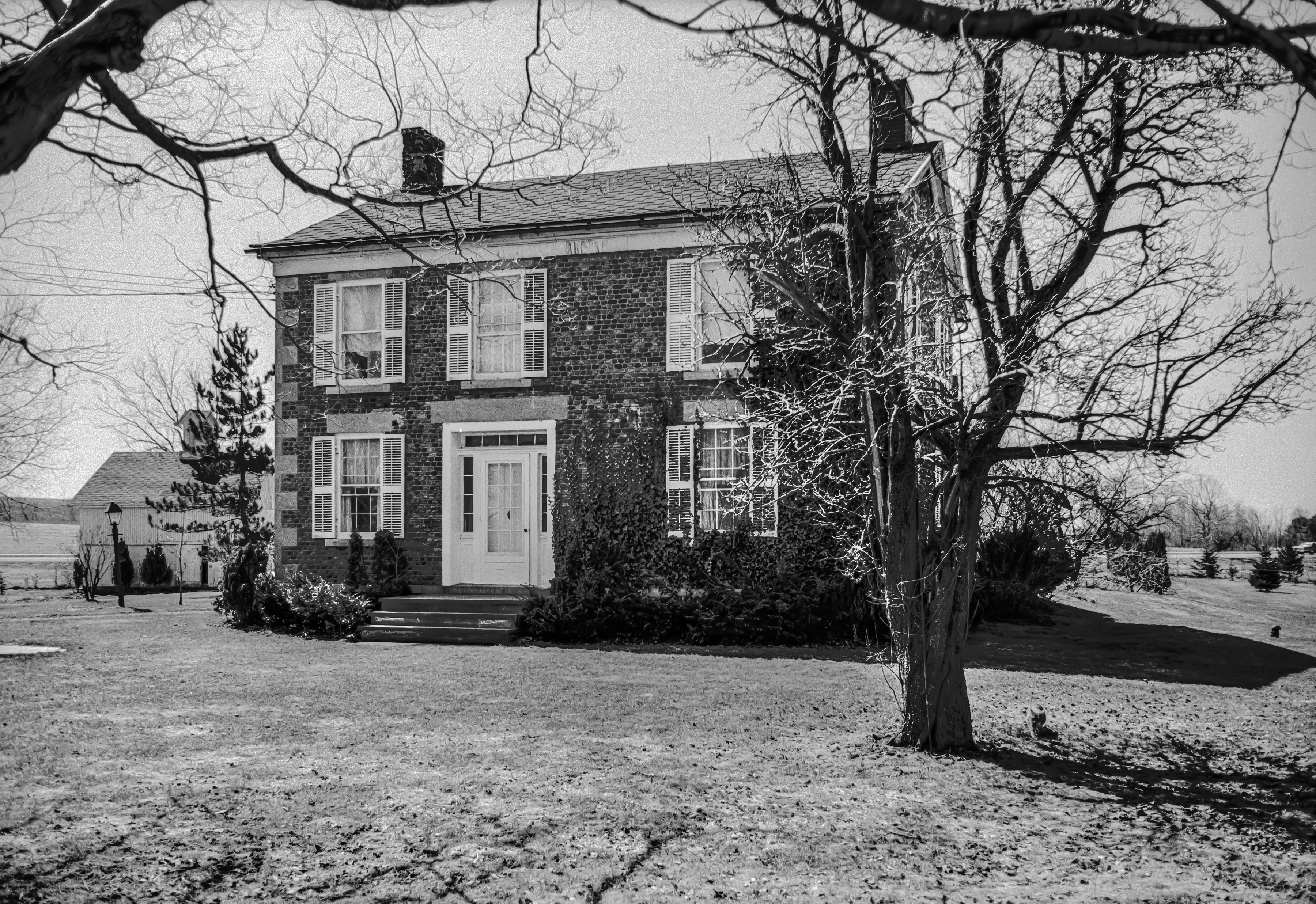 Chi-3 Sheffer-Bean 7